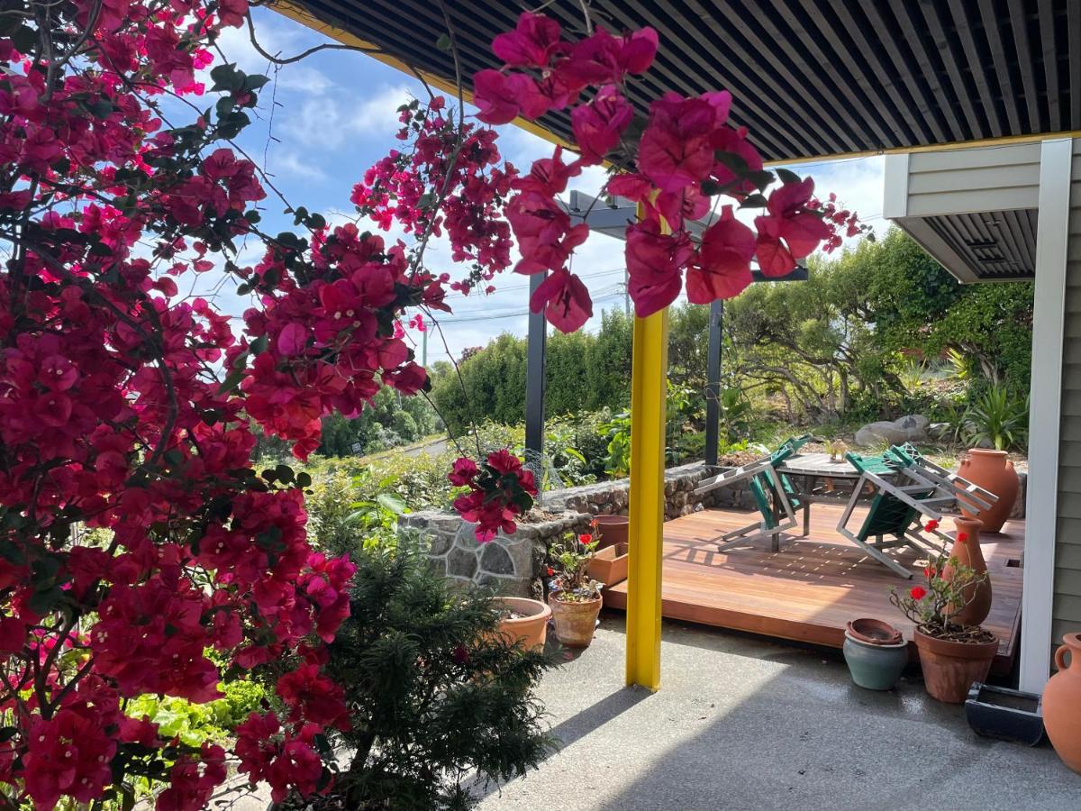 Under The Yellow Canopy Christchurch Bagian luar foto